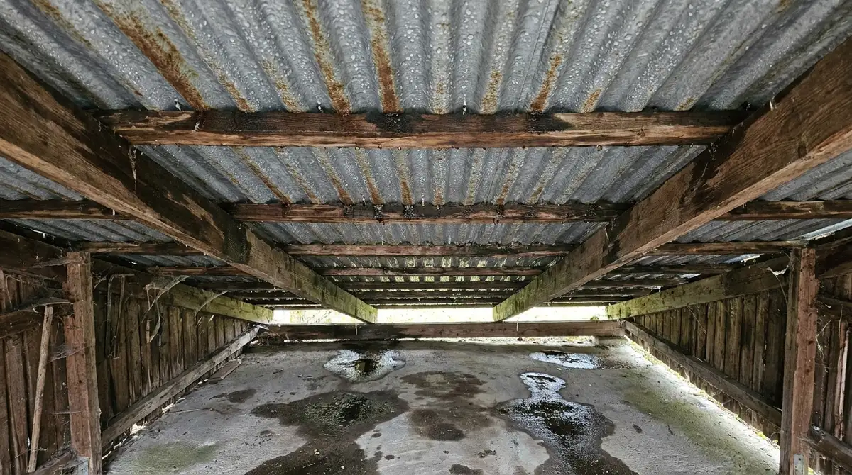 Undersidan av ett korrugerat plåttak i en carport med kondensdroppar och våta fläckar på golvet